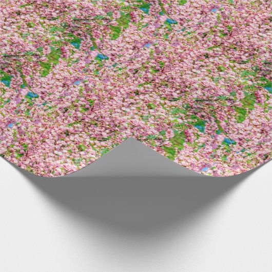 Blütenplatte Geschenkpapier (Ecke)