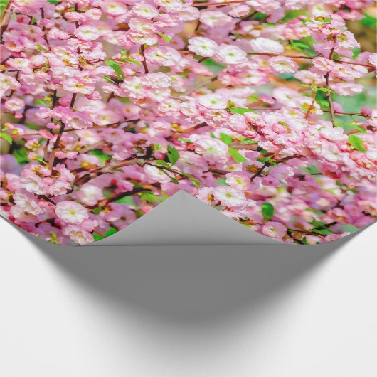 Blütenplatte Geschenkpapier (Ecke)