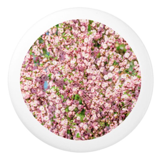 Blütenplatte Keramikknauf (Vorderseite)