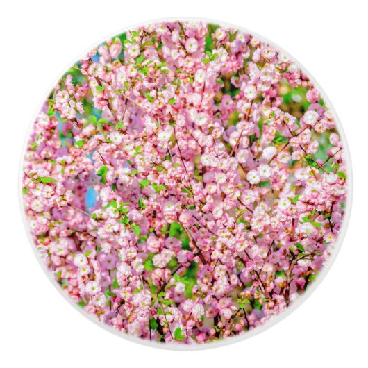 Blütenplatte Keramikknauf (Vorderseite)