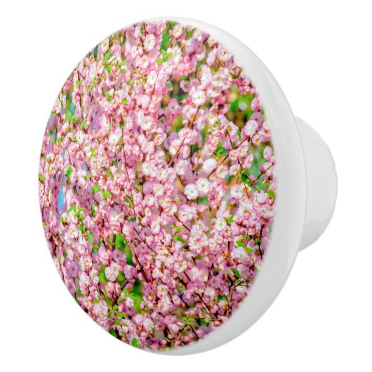 Blütenplatte Keramikknauf (Rechts)