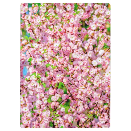 Blütenplatte Klemmbrett (Rückseite)