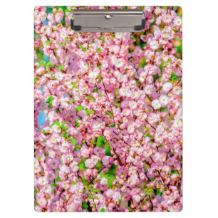 Blütenplatte Klemmbrett