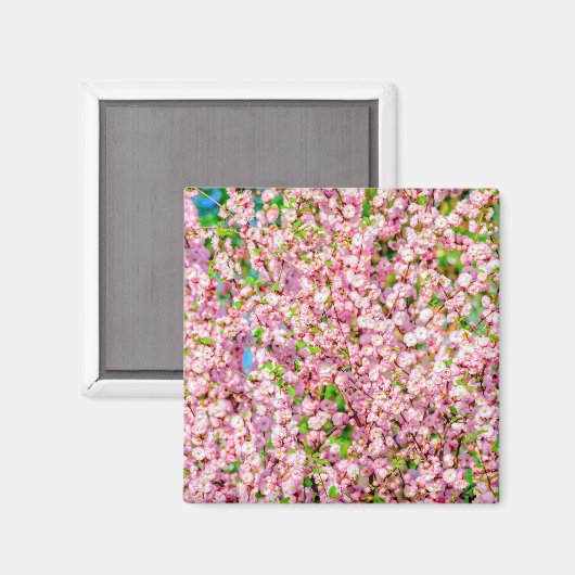 Blütenplatte Magnet (Vorderseite/Rückseite)