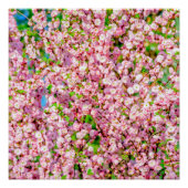 Blütenplatte Poster (Vorderseite)