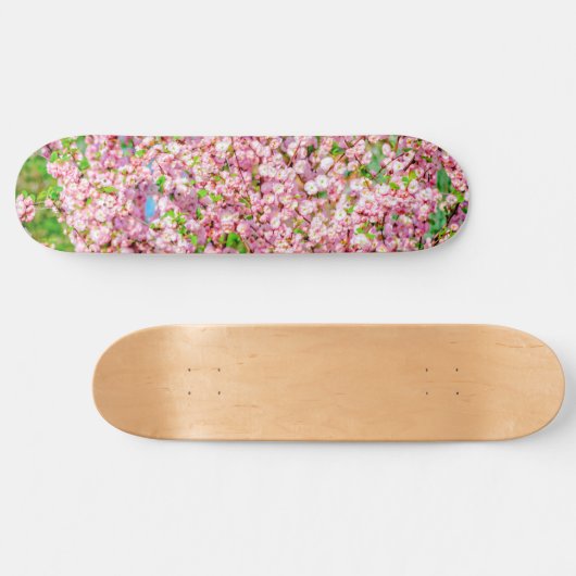 Blütenplatte Skateboard (Horizontal)