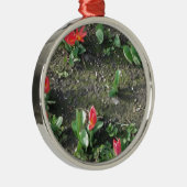 Blütenpracht im Park Silbernes Ornament (Rechts)