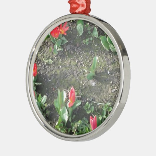 Blütenpracht im Park Silbernes Ornament (Links)