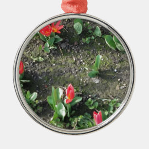 Blütenpracht im Park Silbernes Ornament