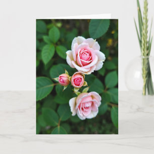 Blütenpracht Rosa Blüten Karte