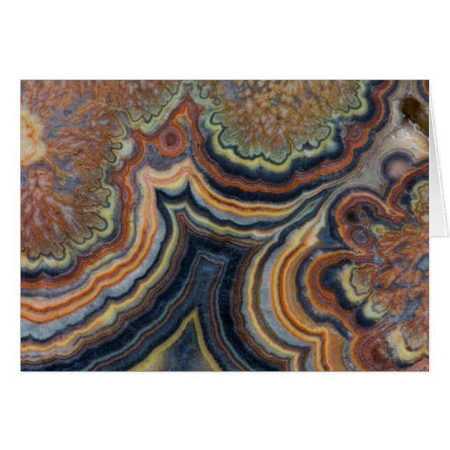 Blütenrohronym (Vorderseite (Horizontal))