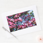 Blütenrosa Dogwood Rechteckiger Aufkleber (Umschlag)