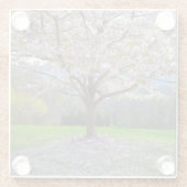 Blütenrosa Kirschblütenbaum mit Holz Glasuntersetzer (Rückseite)