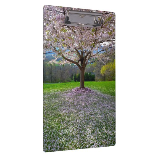 Blütenrosa Kirschblütenbaum mit Holz Klemmbrett (Rechts)