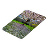 Blütenrosa Kirschblütenbaum mit Holz Magnet (Linke Seite)