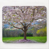 Blütenrosa Kirschblütenbaum mit Holz Mousepad (Vorne)