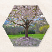 Blütenrosa Kirschblütenbaum mit Holz Untersetzer (Vorderseite)