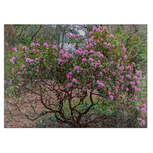 Blütenrosa Rhododendron Shrub Floral Schneidebrett (Vorderseite)