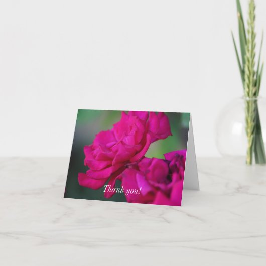 Blütenrosa Rose Dankeskarte (Vorderseite)
