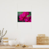 Blütenrosa Rose Poster (Küche)