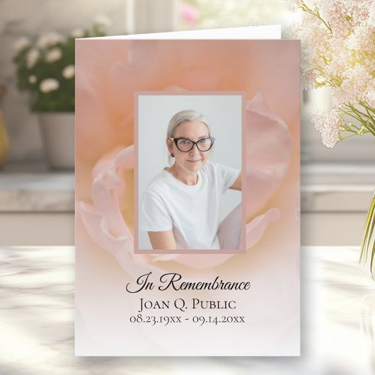 Blütenrosa Rosenblüte Begräbnisdienst für die Peta Programm