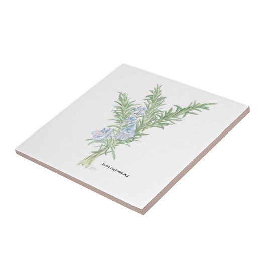 Blütenrosemary Fliese (Seite)