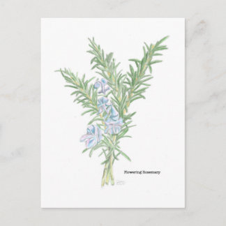 Blütenrosemary Postkarte