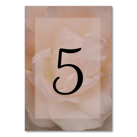 Blütenrot Rosa Tischnummer (Rückseite)