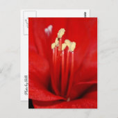 Blütenstaub Postkarte (Vorne/Hinten)