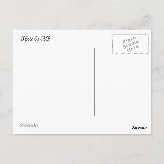 Blütenstaub Postkarte (Rückseite)