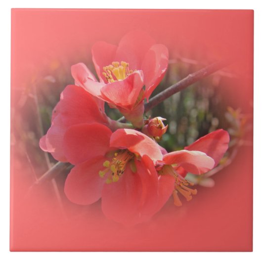 Blütenstille Fliese (Vorderseite)