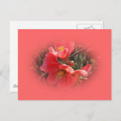 Blütenstille Postkarte (Vorne/Hinten)