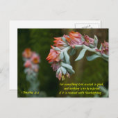 Blütensukkulatur Feiertagspostkarte (Vorne/Hinten)