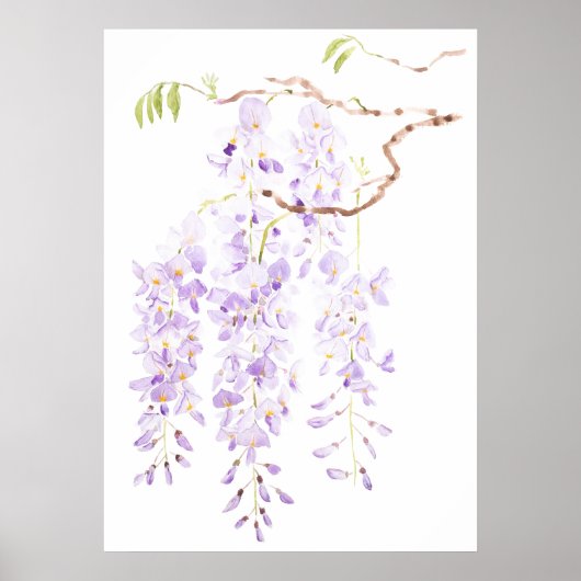 Blütenwisteria Poster (Vorne)
