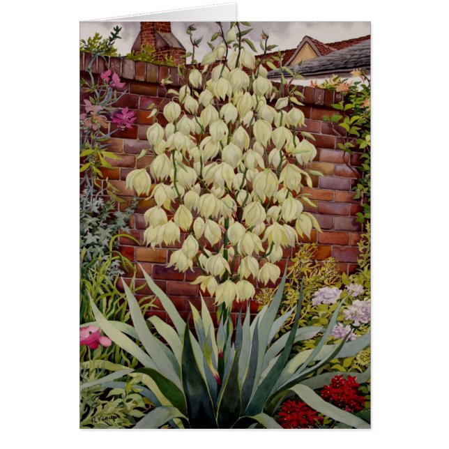 BlütenYucca (Vorne)