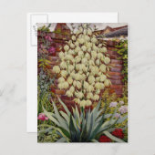 BlütenYucca Postkarte (Vorne/Hinten)