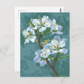 Blütenzweig des Apfelbaums Postkarte (Vorne/Hinten)