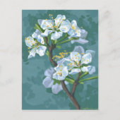 Blütenzweig des Apfelbaums Postkarte (Vorderseite)