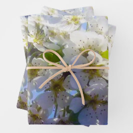 Blütenzweig einer Birne Geschenkpapier Set