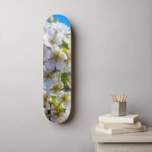 Blütenzweig einer Birne Skateboard