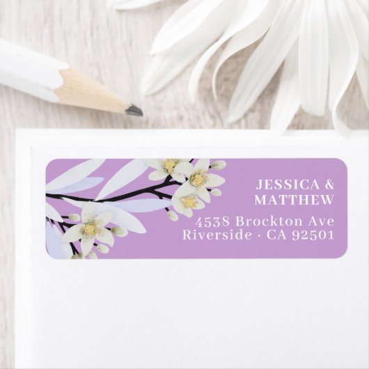 Blütenzweig Mandarine Blume Lilac (Insitu)