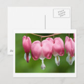 Bluter Atem Postkarte (Vorne/Hinten)