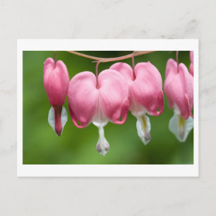 Bluter Atem Postkarte