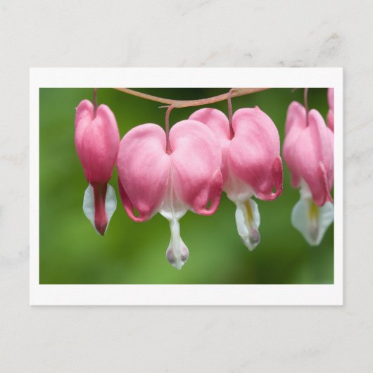 Bluter Atem Postkarte (Vorderseite)