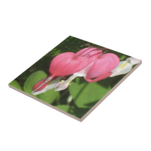 Blutergüsse Herz Kleine Keramik Foto Tile Fliese