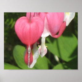 Blutergüsse Herz-Poster - Mattwertpapier Poster