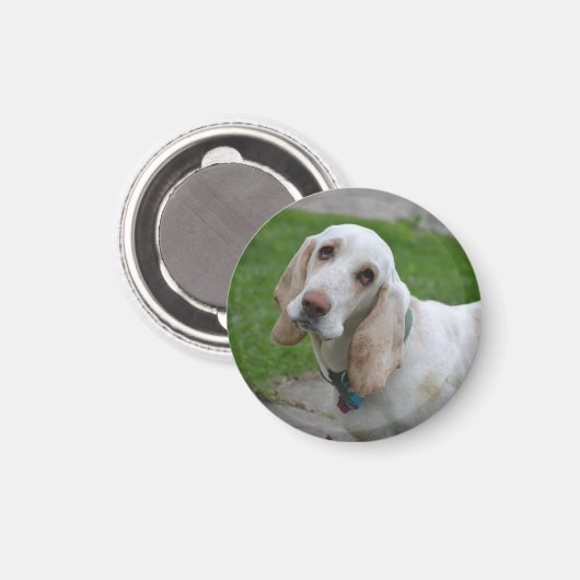 Blutfass Magnet (Vorderseite/Rückseite)