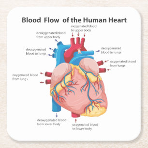 Blutfluss des menschlichen Herzens Rechteckiger Pappuntersetzer