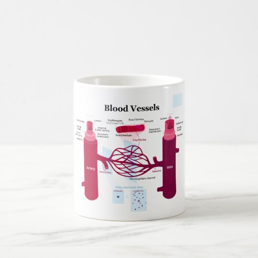 Blutgefäß-Arterien-Kapillarader-Diagramm Kaffeetasse (Mittel)