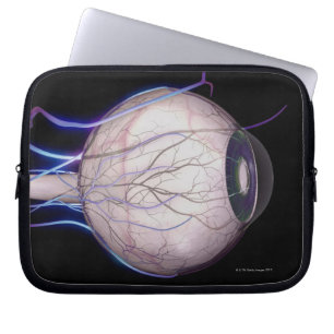 Blutgefäße des Auges Laptopschutzhülle
